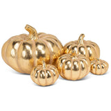 Golden Classic Pumpkin | Medium