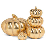 Golden Classic Pumpkin | Medium