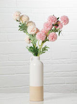 Chrysanthemum Stem