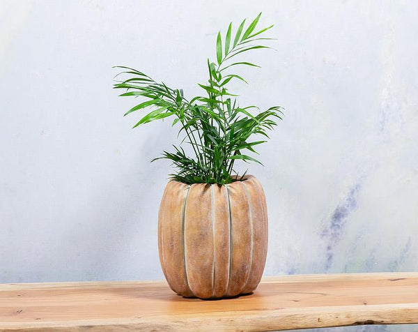 Tall Pumpkin Planter