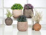 Sandy Vase | Bronze