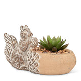 Squirrel & Acorn Planter