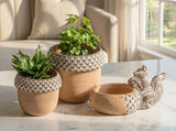 Squirrel & Acorn Planter
