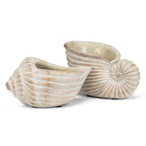 Nautilus Planter | Small