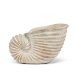 Nautilus Planter | Small