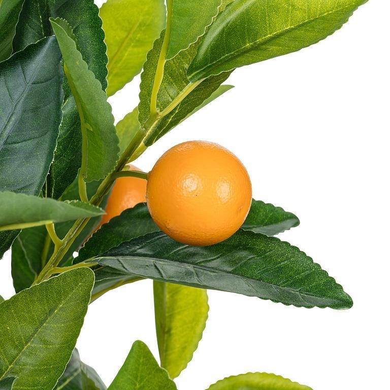 Orange Tree | Mini