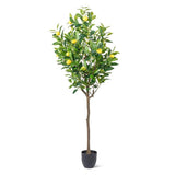 Lemon Tree | Large