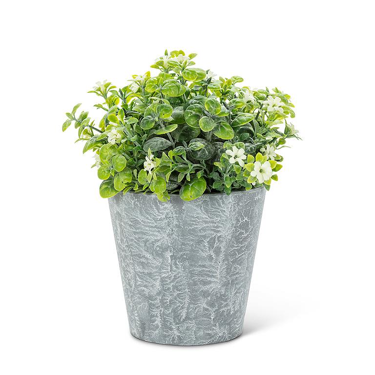 Flowering Plant Pot | White