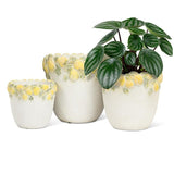 Lemon Edge Planter | Medium