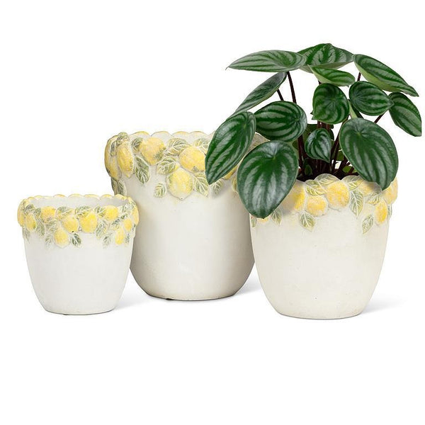 Lemon Edge Planter | Large