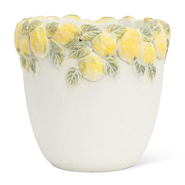 Lemon Edge Planter | Large