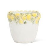 Lemon Edge Planter | Small