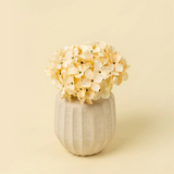 Hydrangea Bouquet | Cream