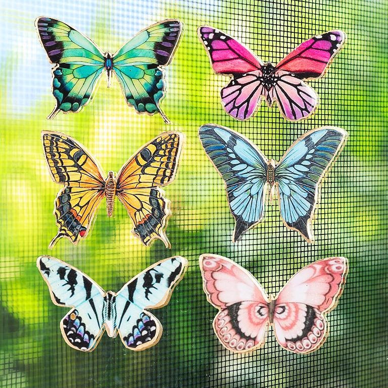 Butterfly Two-Sided Magnet