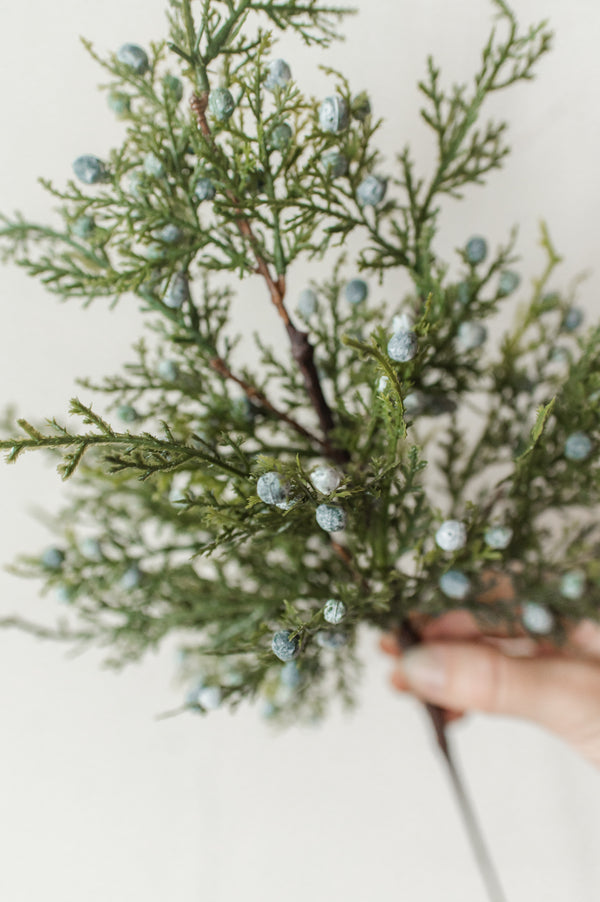 Juniper Spray | 18"