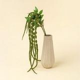Green Amaranth Stem