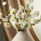 Cherry Blossom Branch