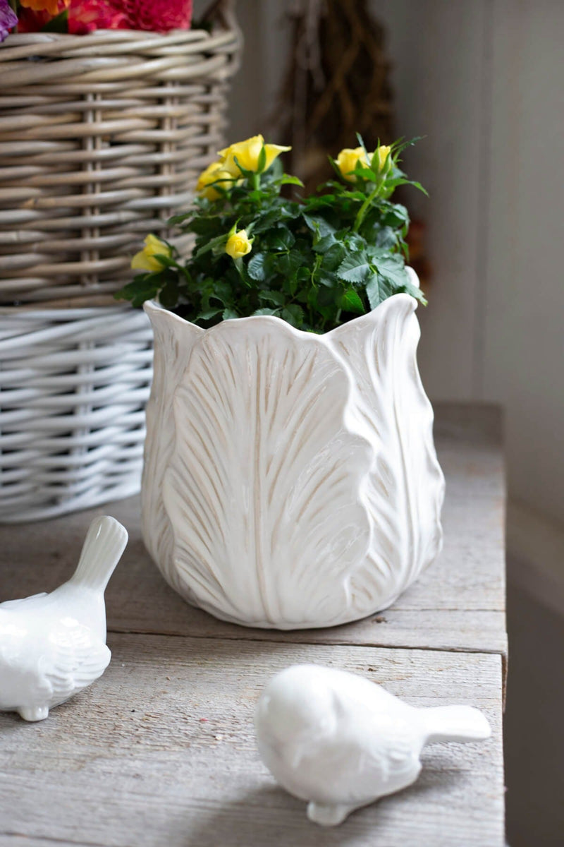 Cream Cabbage Leaf Pot | Large