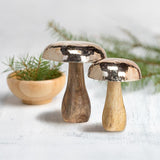 Silver Cap Mushroom | Large