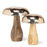 Silver Cap Mushroom | Small
