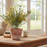 Roadsidia Bush | Mustard