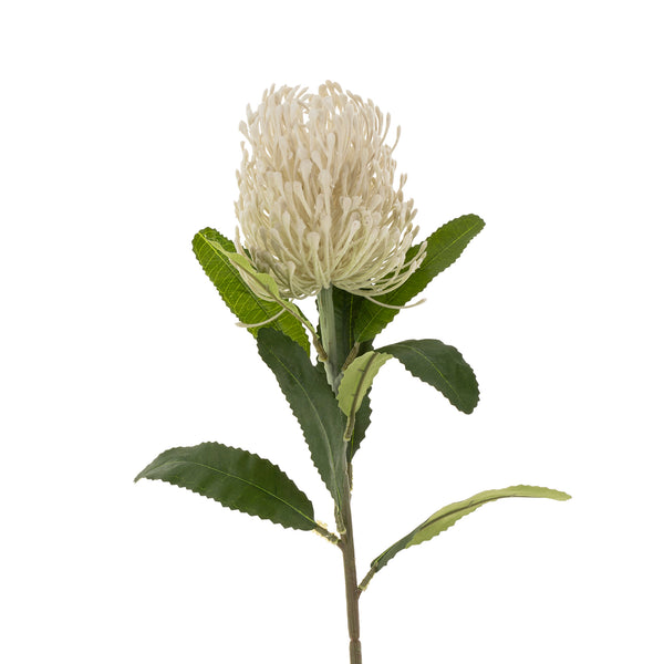 Pincushion Floral Stem | White