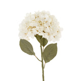 Hydrangea Floral Stem | White