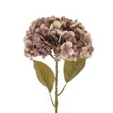 Faded Hydrangea Stem | Purple