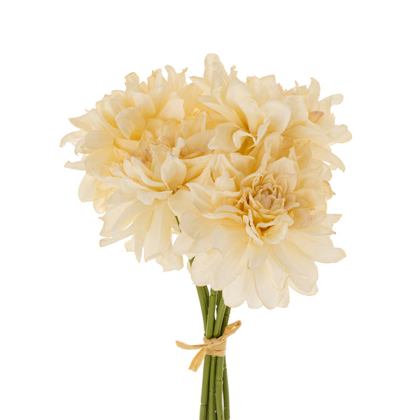 Dahlia Bouquet | Champagne