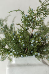 Juniper Spray | 18"