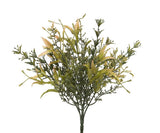 Roadsidia Bush | Mustard