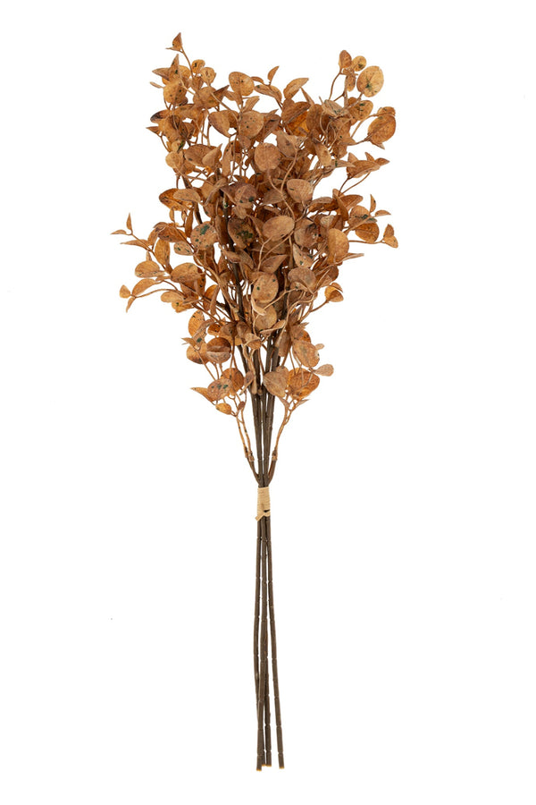Dried Eucalyptus Bouquet | Brown