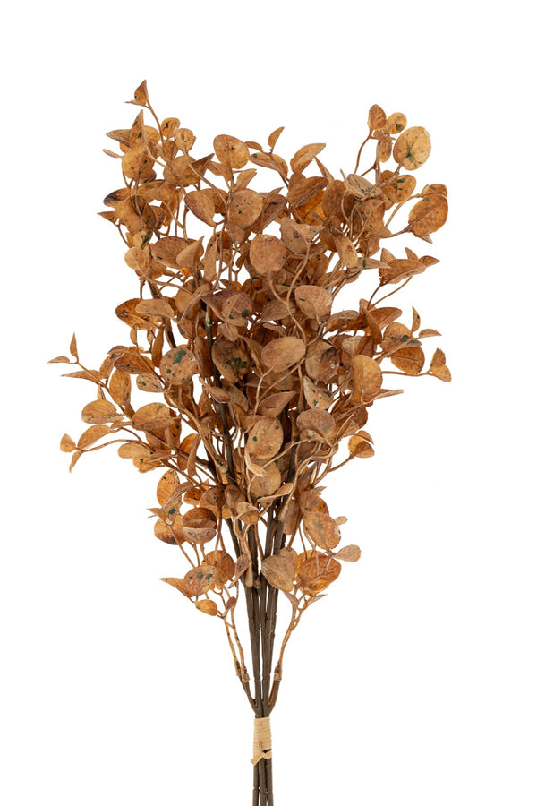 Dried Eucalyptus Bouquet | Brown