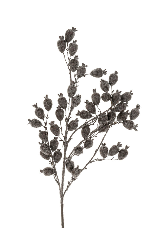Dried Berry Branch | Grey