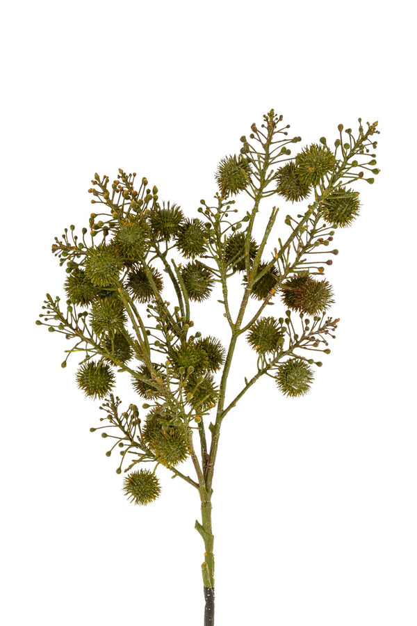 Wild Berry Spray | Green