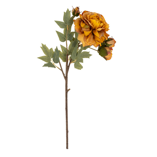 Peony Stem | Burnt Orange