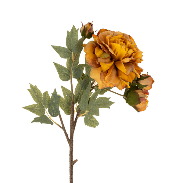 Peony Stem | Burnt Orange