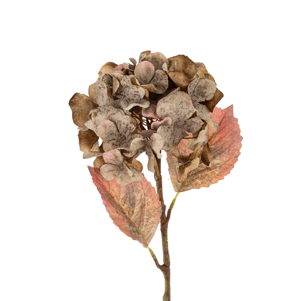 Faded Hydrangea Stem | Grey