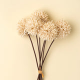 Mini Allium Bouquet | Cream