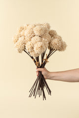 Mini Allium Bouquet | Cream