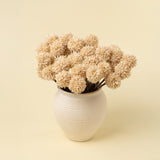Mini Allium Bouquet | Cream