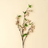 Wild Apple Berry Spray
