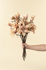 Magnolia Branch | Cream