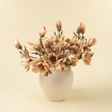 Magnolia Branch | Cream