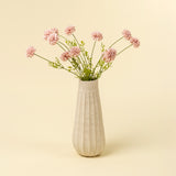Mini Chrysanthemum | Pink