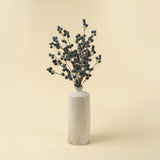 Blueberry Branch