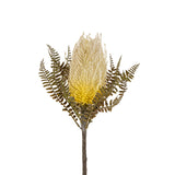 Banksia Floral Stem | Ivory