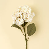Hydrangea Floral Stem | Cream