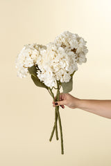 Hydrangea Floral Stem | Cream