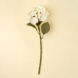 Hydrangea Floral Stem | Cream